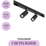 Трековый светильник MAYTONI FOCUS DUO BASITY TR176-1-2X3WTW-M-B