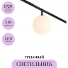 Трековый светильник MAYTONI LUNA TR038-2-5W3K